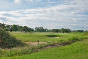 Darmor 3rd Green